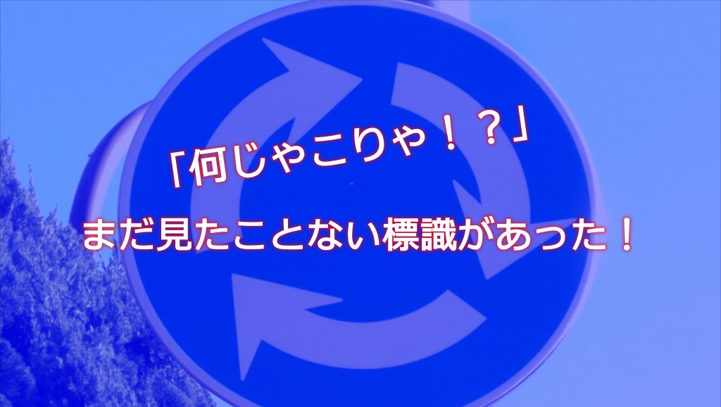 なんじゃこりゃ！？「環状交差点標識」