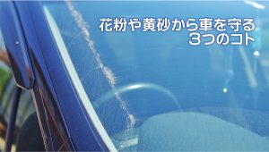 花粉や黄砂から車を守る３つのコト｜白河市･棚倉町の洗車専門店